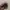 Apple Watch Seri 10 42 mm Rose Gold photo 2