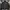 Bomber Jacket Avant Faddish Pioneer photo 2