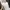 Uniqlo Futurist Casual dress Wanita white photo 4
