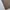 OUTER KANVAS VISION COMPANY photo 5