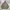 Vtg Ecko Unltd jacket photo 2