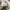 Converse Chuck Taylor All Star High USA American Flag photo 6