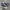 Converse CT 70S Hi Archives Print Navy Stars Non Egret photo 1