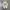 Converse One Star Academy Ox Egret Ivory Black photo 3
