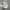 Converse One Star Academy Ox Egret Ivory Black photo 1
