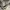 Converse One Star Academy Ox Egret Black White photo 6
