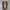 Converse One Star Academy Ox Egret Black White photo 5