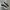 Converse One Star Academy Ox Egret Black White photo 1