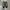 Converse One Star Academy Ox Egret Black White photo 3