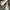 Cole Haan Casual Sneakers Pria cream photo 1