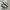 Converse One Star Vintage Lichen Army Green Black photo 1