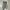 Converse One Star Vintage Lichen Army Green Black photo 3