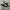 Converse One Star OX Suede Black White photo 1