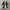 Converse One Star OX Suede Black White photo 2