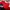 Track Jacket New Balance Liverpool photo 7
