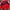 Track Jacket New Balance Liverpool photo 1