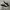 Converse One Star OX Suede Black White photo 1