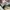 Converse One Star OX Suede Black White photo 6