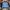 Bomber Jacket Aeroclub Stroke