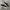 Converse One Star OX Suede Black White photo 1