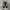 Converse One Star OX Suede Black White photo 3