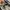 Converse One Star OX Suede Black White photo 6