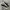 Converse One Star OX Suede Black White photo 1