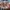 BENING4D  VIP 𝖘𝖑𝖔𝖙 98% 𝚊𝚞𝚝𝚘 𝙼𝚊𝚡𝚠𝚒𝚗 photo 1