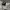Celana Pendek Nike Big Swoosh photo 6