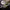 Fishing Jacket Gear Seawolf
 photo 8