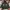 Fishing Jacket Gear Seawolf
 photo 1
