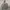 HOODIE BEN DAVIS BIG LOGO photo 1