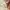 New Era Sweatshirt pullover hoodie flag logo white photo 4