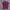  Fred Perry M12 Twin Tipped Polo Shirt photo 1