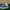 Vans Old Skool Navy Size 36 photo 1