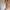 White Katbol Mini Dress photo 1