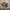 Adidas spezial  photo 1