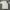 Jersy running Adidas AEROREADY photo 3