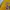 FY 1153 - Lakers Jersey Basketball Jersey  photo 4