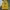 FY 1153 - Lakers Jersey Basketball Jersey  photo 3