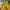 FY 1153 - Lakers Jersey Basketball Jersey  photo 1