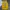 FY 1153 - Lakers Jersey Basketball Jersey  photo 2