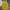 FY 1153 - Lakers Jersey Basketball Jersey 