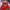 FY 1156 - Arsenal Jersey  photo 1