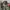 726GEAR PRO TACTICAL BOMBER JACKET  photo 4