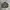 726GEAR PRO TACTICAL BOMBER JACKET  photo 1