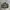 726GEAR PRO TACTICAL BOMBER JACKET 