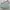 Kate Spade Cameron Street Misty Mint photo 2