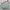 Kate Spade Cameron Street Misty Mint