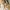 With love the brand x titan tyra knit top white photo 1